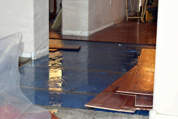 Professional Sewage Cleanup technician working in Bartlett, TX